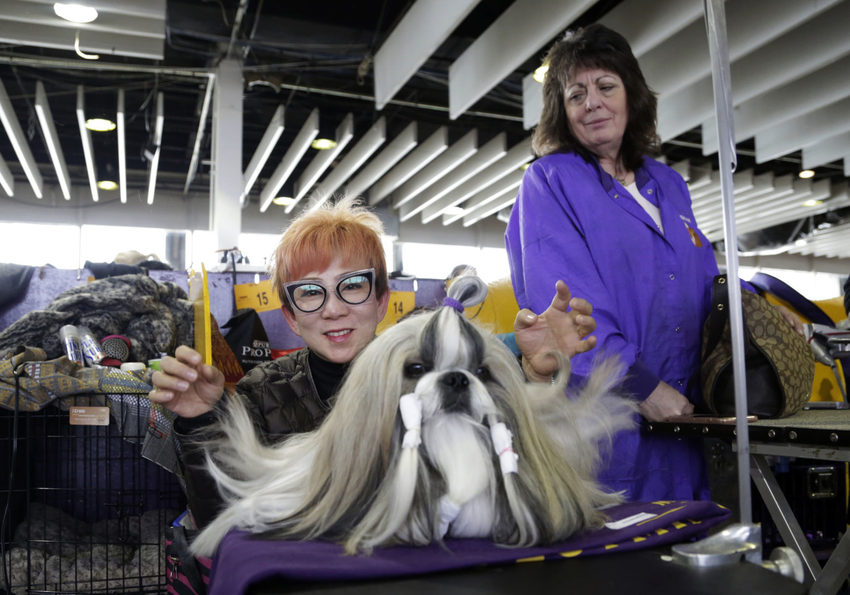 Westminster Dog Show
